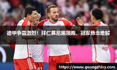芒果体育官网入口