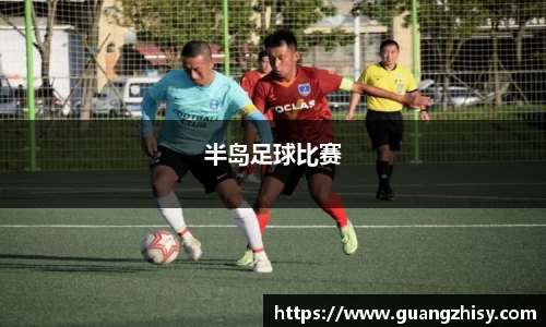 芒果体育官网入口