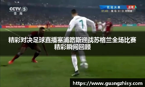 芒果体育官网入口